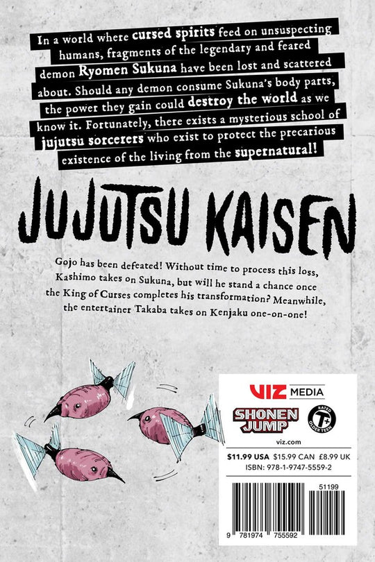 Jujutsu Kaisen, Vol. 27
