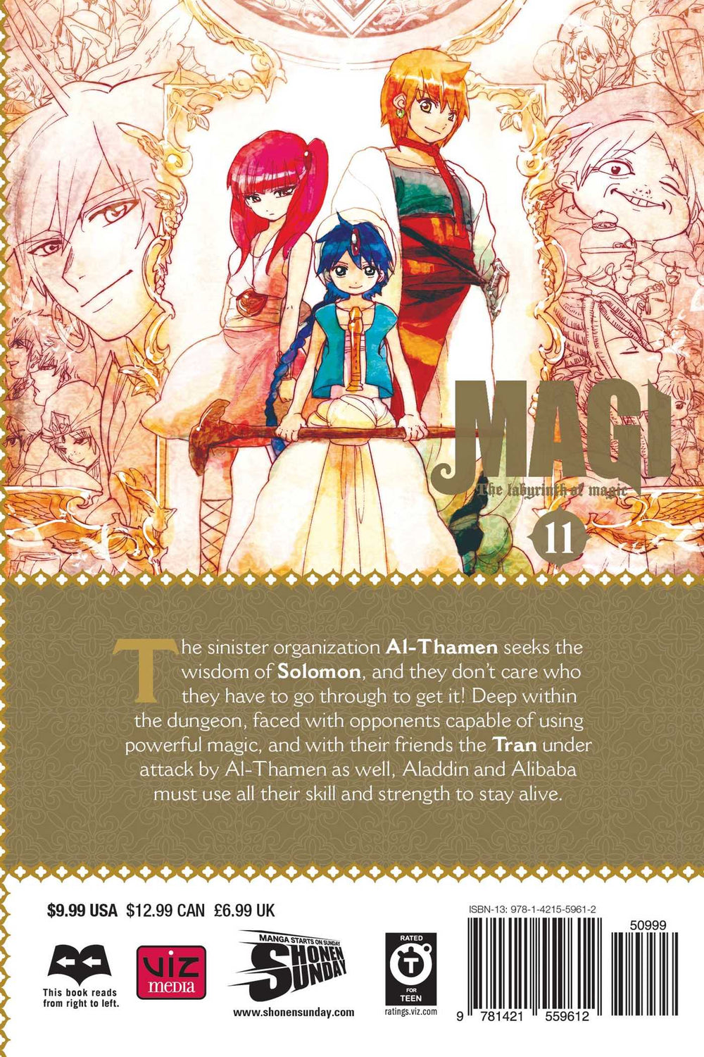 Magi: The Labyrinth of Magic, Vol. 11