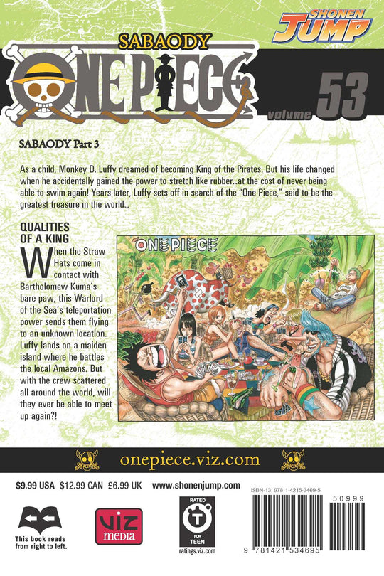 One Piece, Vol. 53