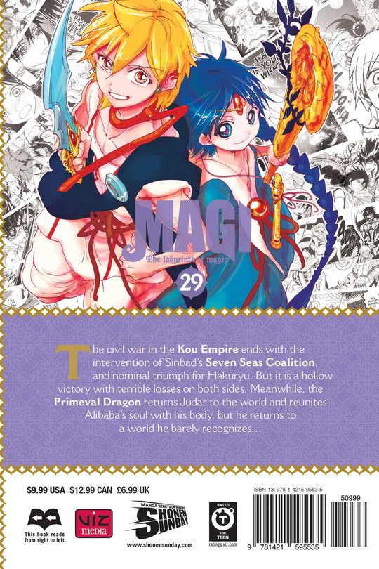 Magi: The Labyrinth of Magic, Vol. 29