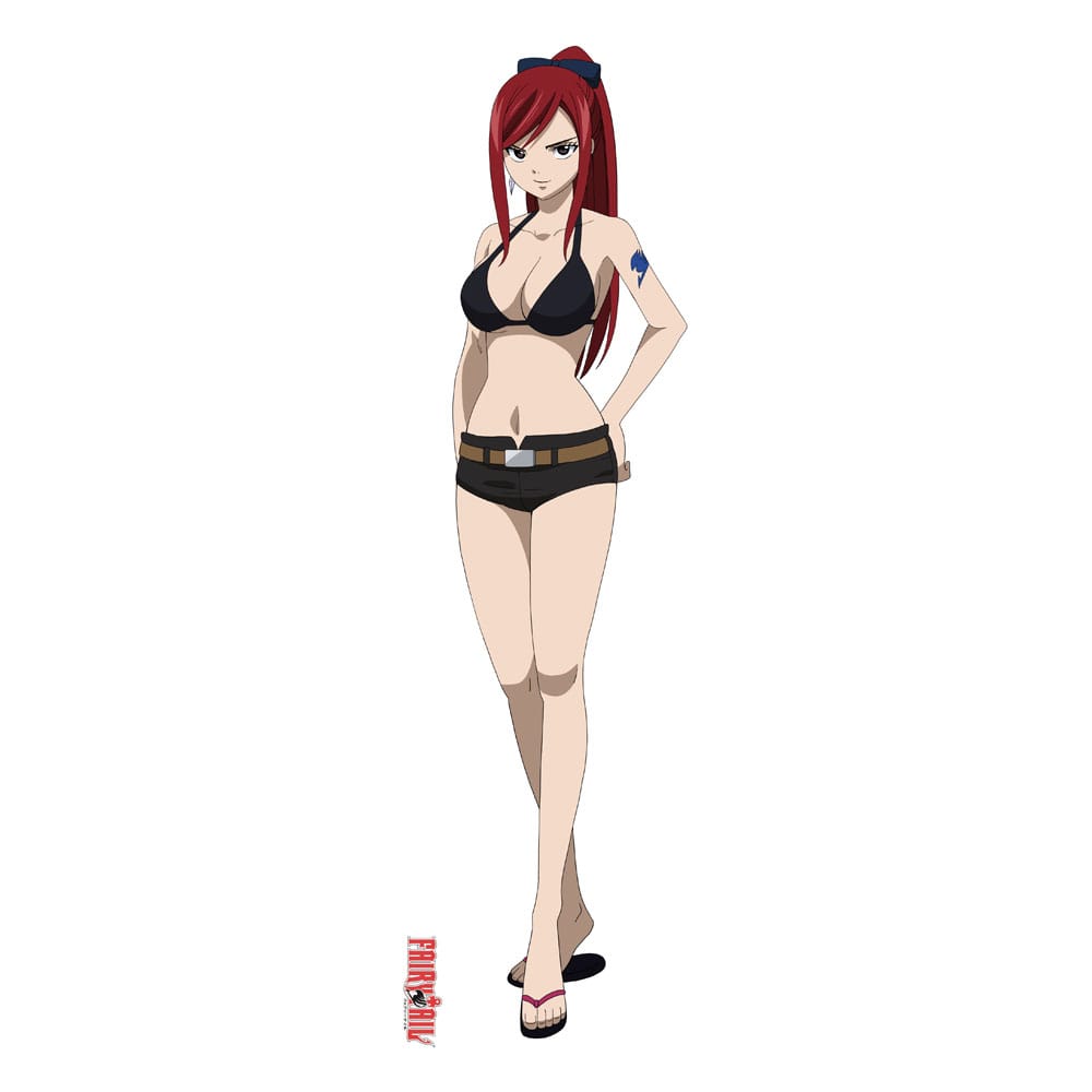 Fairy Tail Dakimakura Cover Erza Scarlet