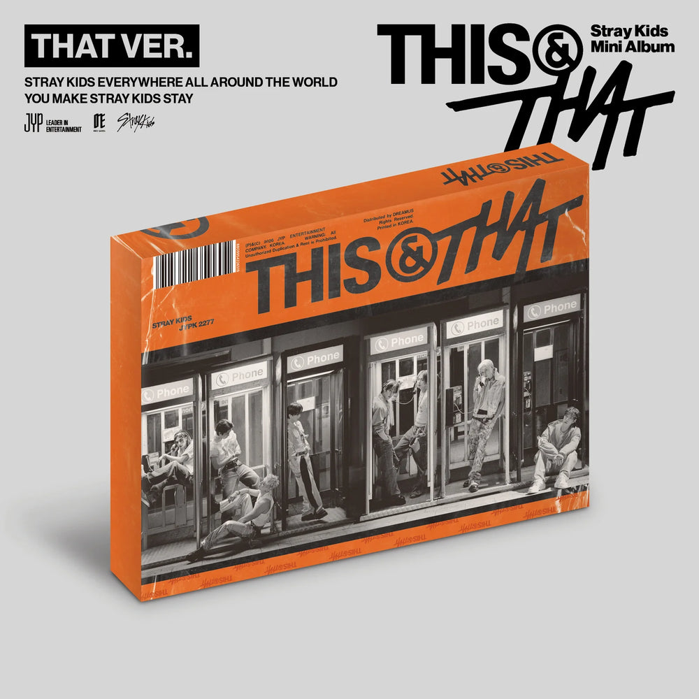 Stray Kids - [THIS & THAT]