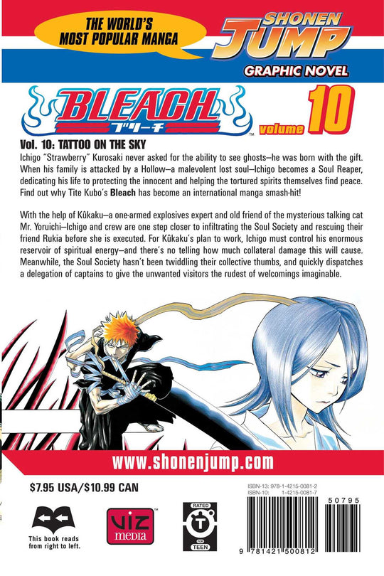 Bleach, Vol. 10