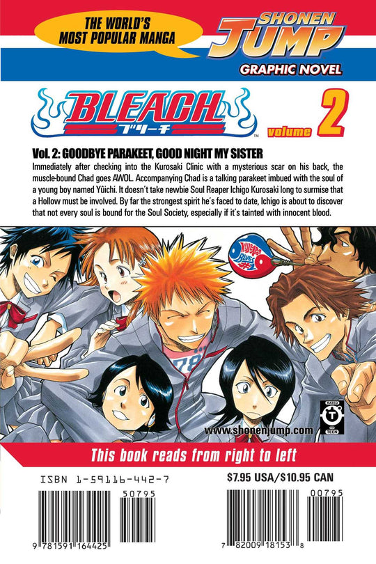 Bleach, Vol. 2