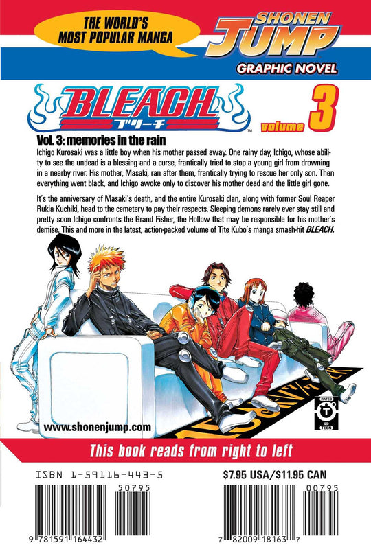 Bleach, Vol. 3