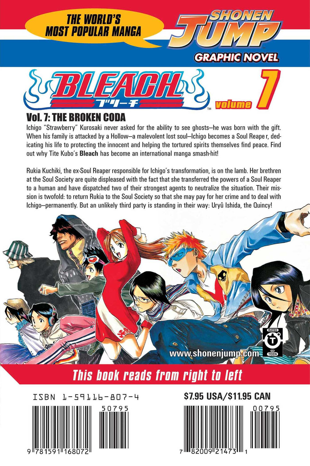 Bleach, Vol. 7