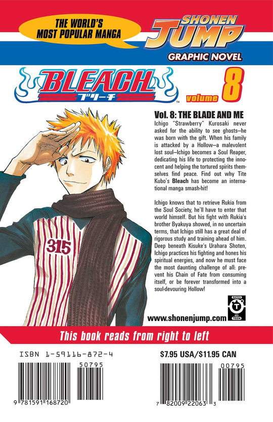 Bleach, Vol. 8