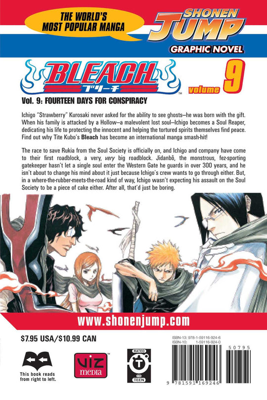 Bleach, Vol. 9